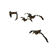 mallard_flock_mc.gif