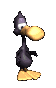 duffy_duck_dancing_sc.gif