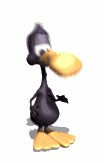 duffy_duck_dancing_lw.gif