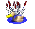 duck_swim_sc.gif