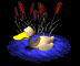 duck_swim_sb.gif