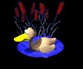 duck_swim_lc.gif
