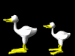 duck_bite_sb.gif