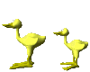 duck_bite_lc.gif