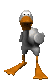 cartoon_duck_quacking_sc.gif