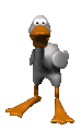 cartoon_duck_quacking_mc.gif