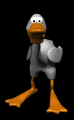 cartoon_duck_quacking_mb.gif
