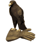 goldeneagle_glove_sw.gif
