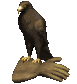 goldeneagle_glove_sc.gif