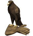 goldeneagle_glove_mw.gif