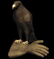 goldeneagle_glove_mb.gif