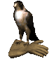 falcon1_glove_sc.gif