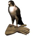 falcon1_glove_mw.gif