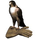 falcon1_glove_lw.gif