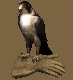 falcon1_glove_lc.gif