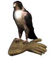 falcon1_glove_hr.jpg