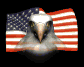 eagleface_flagwave_sb.gif