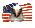 eagleface_flagwave_mc.gif