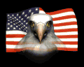eagleface_flagwave_mb.gif