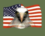 eagleface_flagwave_lc.gif