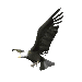 eagle_talon_sc.gif
