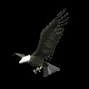 eagle_talon_lc.gif