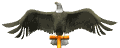 eagle_perch_head_sw.gif