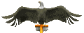 eagle_perch_head_sc.gif