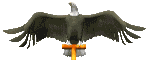 eagle_perch_head_mc.gif