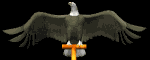 eagle_perch_head_mb.gif