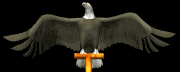 eagle_perch_head_lb.gif