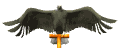 eagle_perch1_sw.gif