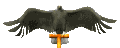 eagle_perch1_sc.gif