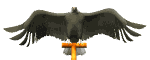 eagle_perch1_mw.gif
