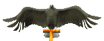 eagle_perch1_mc.gif