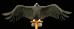 eagle_perch1_mb.gif