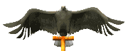 eagle_perch1_lc.gif