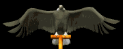 eagle_perch1_lb.gif