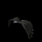 eagle_fly_sb.gif