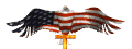 eagle_flag_sw.gif