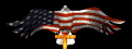 eagle_flag_sb.gif