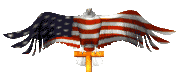 eagle_flag_lc.gif