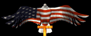 eagle_flag_lb.gif