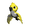 yellow_parakeet_sc.gif