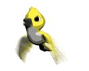 yellow_parakeet_lw.gif