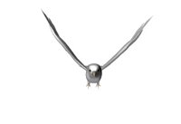 white_dove_graceful_fly_hr.jpg