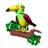 tropical_flap_sw.gif