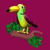 tropical_flap_mc.gif