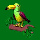 tropical_flap_lc.gif