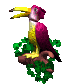 tropical_bird_sc.gif